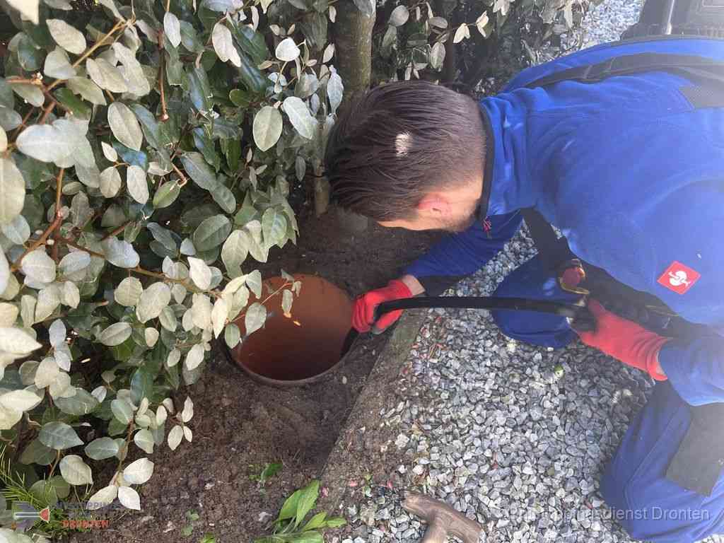 Rioolvliegjes Dronten Rioolvliegjes Dronten